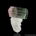 Elbaite Tourmaline with Quartz and Albite - image 2