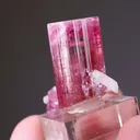 ELBAITE - Tourmaline with QUARTZ and LEPIDOLITE - image 2