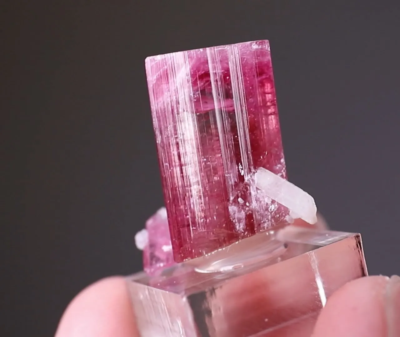 ELBAITE - Tourmaline with QUARTZ and LEPIDOLITE - image 2