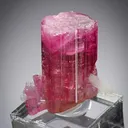ELBAITE - Tourmaline with QUARTZ and LEPIDOLITE - image 1