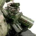 Elbaite Tourmaline with Quartz, Cleavelandite & Lepidolite on Tourmaline - image 6