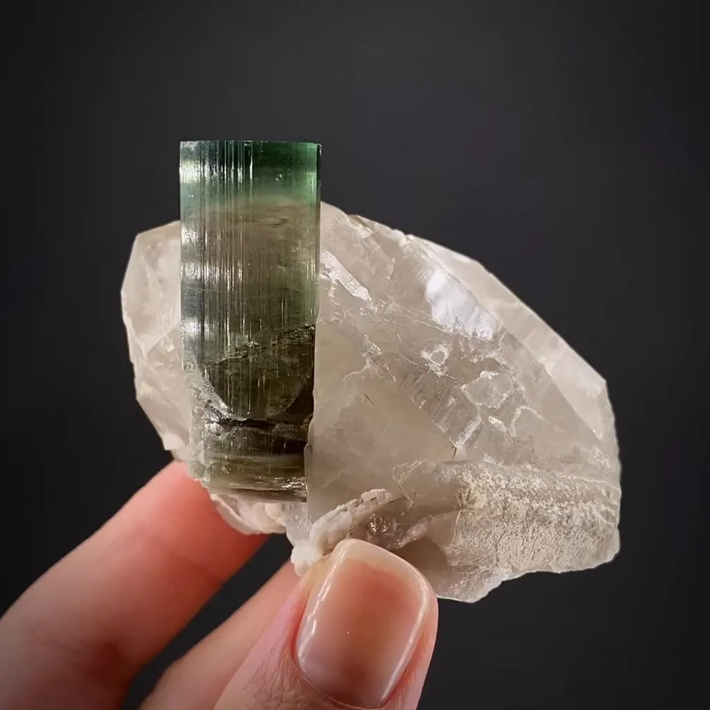Elbaite Tourmaline with Quartz image