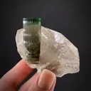 Elbaite Tourmaline with Quartz - image 1