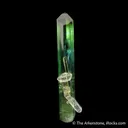 Elbaite Tourmaline with Quartz - image 1