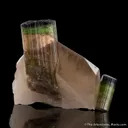 Elbaite Tourmaline with Quartz - image 1