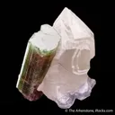 Elbaite Tourmaline with Quartz & Lepidolite - image 4