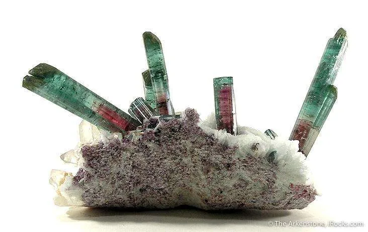 Elbaite Tourmaline with Quartz & Lepidolite on Cleavelandite - image 6