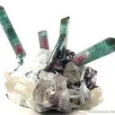 Elbaite Tourmaline with Quartz & Lepidolite on Cleavelandite - image 5