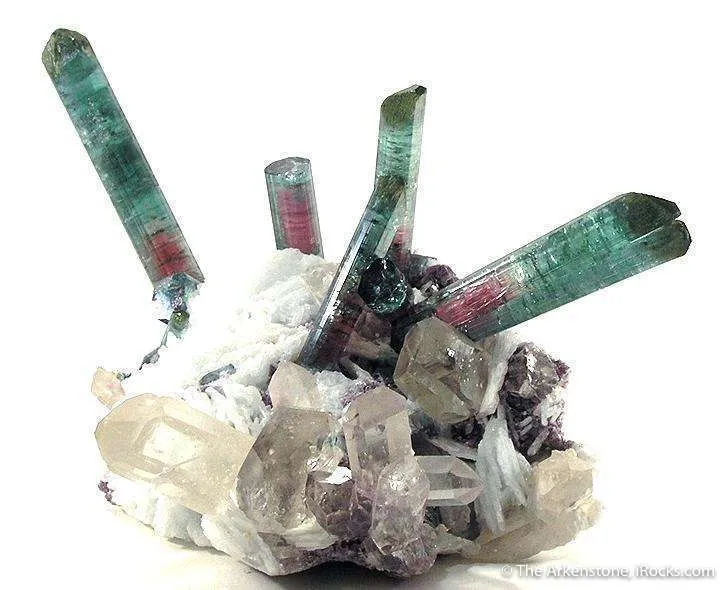 Elbaite Tourmaline with Quartz & Lepidolite on Cleavelandite - image 5