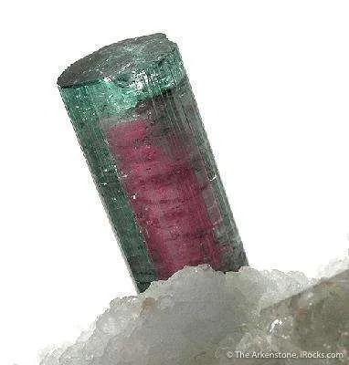 Elbaite Tourmaline with Quartz & Lepidolite on Cleavelandite - image 3