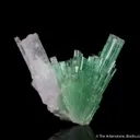 Elbaite Tourmaline with Spodumene var. Kunzite - image 2