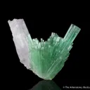 Elbaite Tourmaline with Spodumene var. Kunzite - image 1