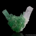 Elbaite Tourmaline with Spodumene var. Kunzite - image 3