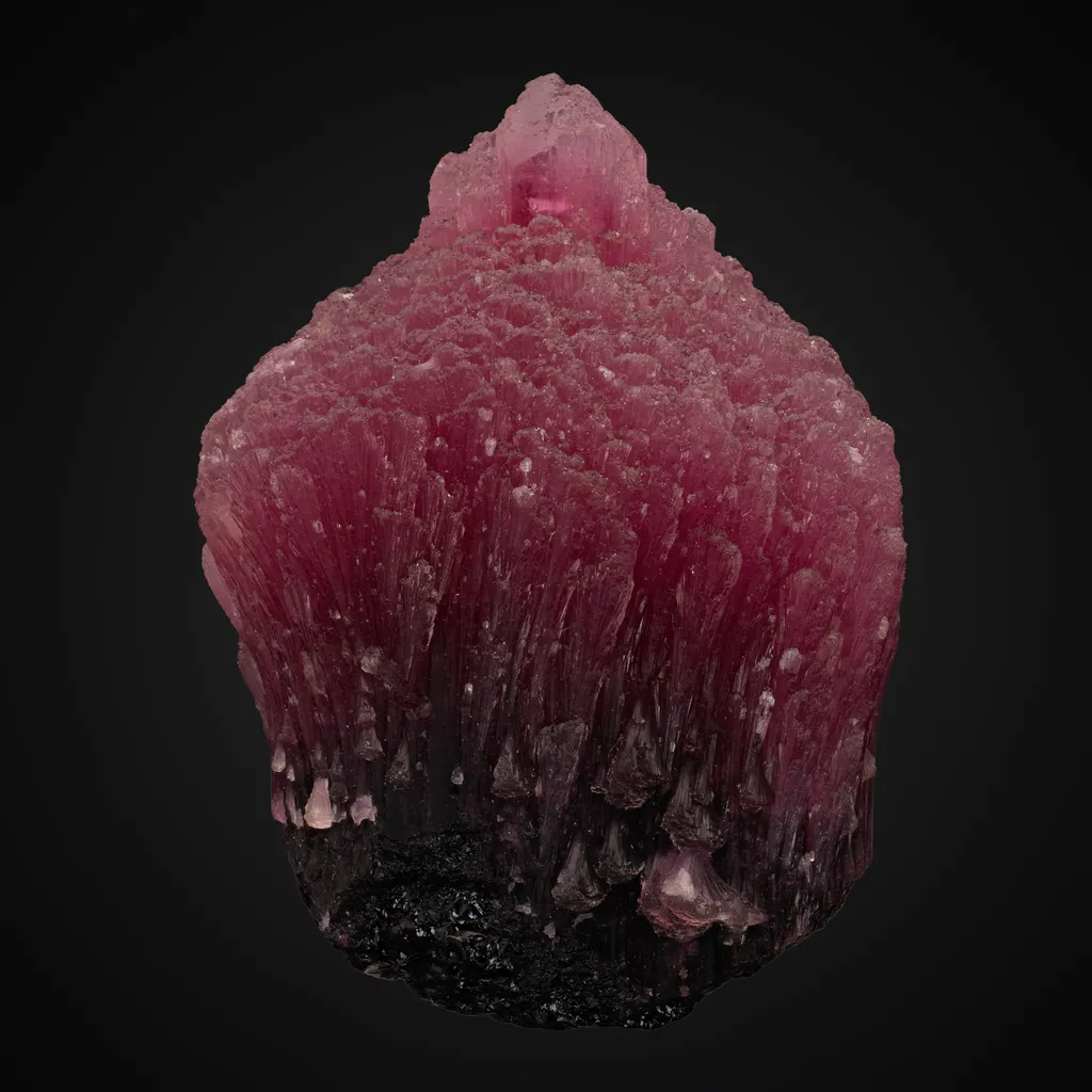 Elbaite v. Rubellite image