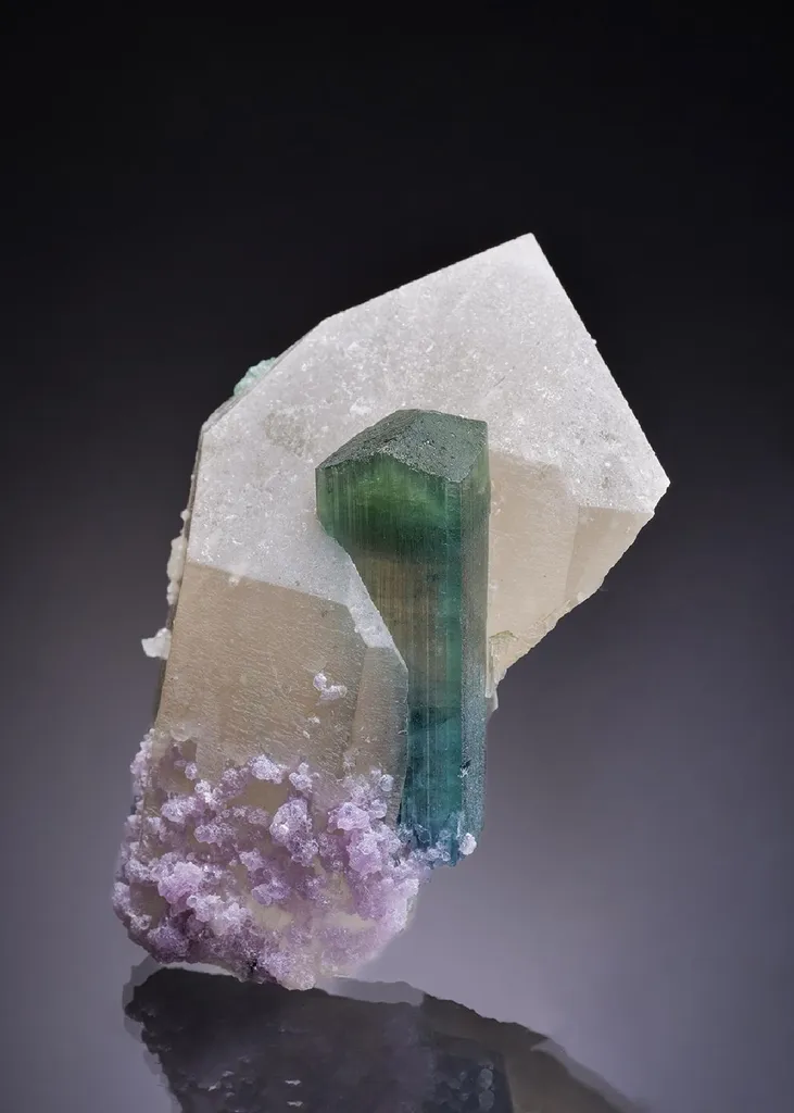 Elbaite var. Indicolite in Quartz with Lepidolite image