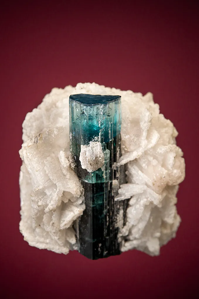 Elbaite var. Indicolite with Albite image