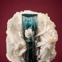 Elbaite var. Indicolite with Albite - image 1