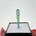 Elbaite var. Paraiba Tourmaline - image 3