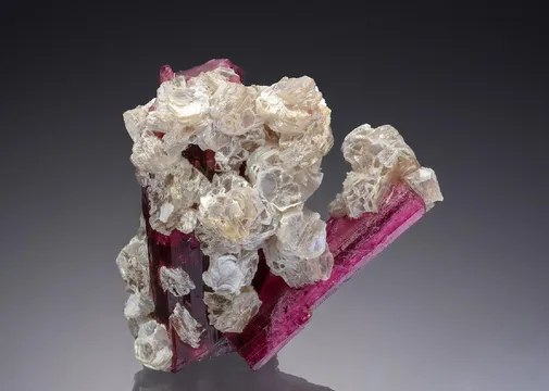 Elbaite var. Rubellite