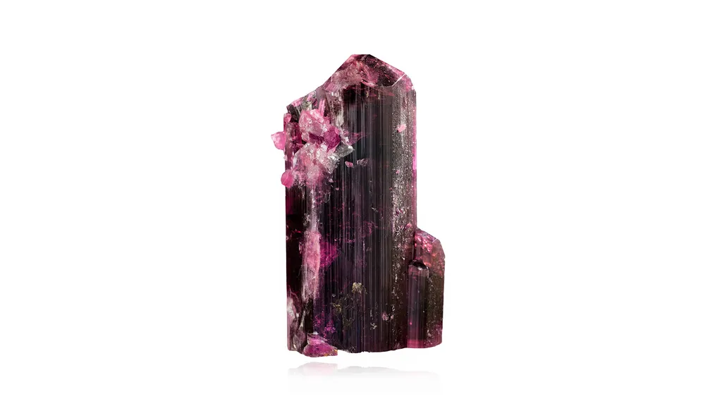 Elbaite (var. Rubellite) image