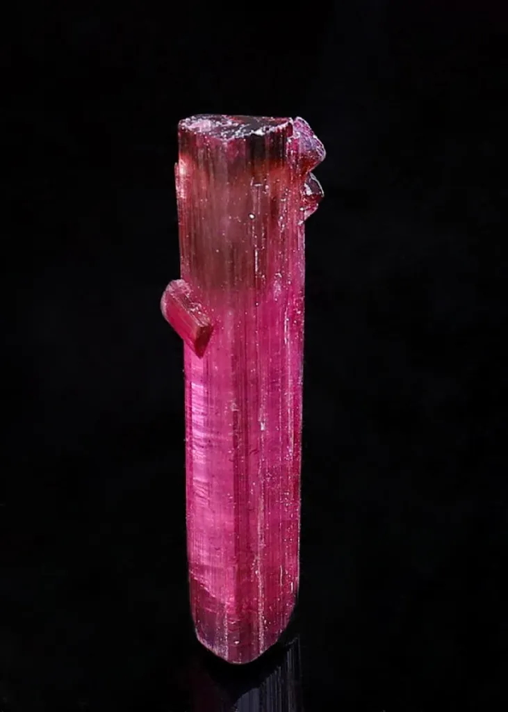 Elbaite var. Rubellite image