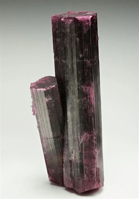 Elbaite var. Rubellite Tourmaline image