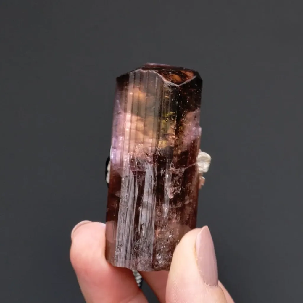 Elbaite var. Rubellite with Muscovite - image 2
