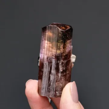 Elbaite var. Rubellite with Muscovite