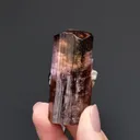 Elbaite var. Rubellite with Muscovite - image 2