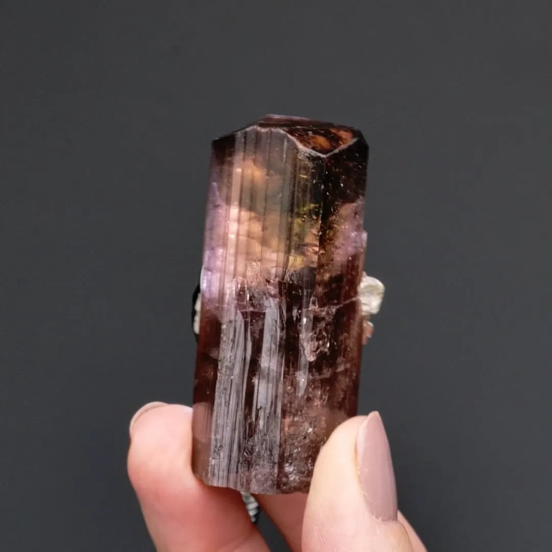 Elbaite var. Rubellite with Muscovite - image 2