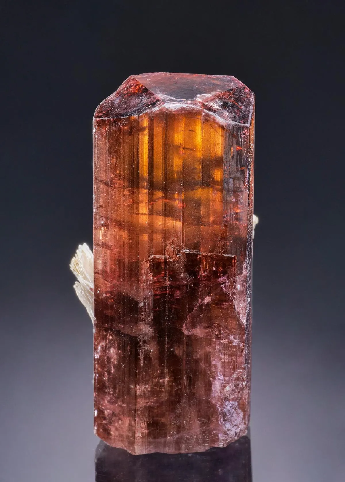Elbaite var. Rubellite with Muscovite - image 1