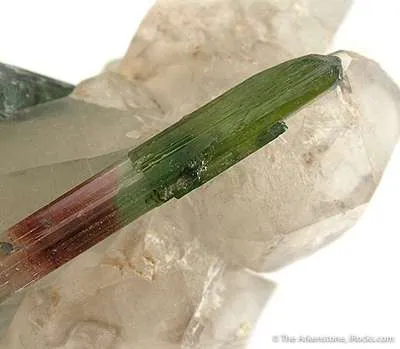 Elbaite Var. Tourmaline in Quartz (Floater & Illustrated) - image 3