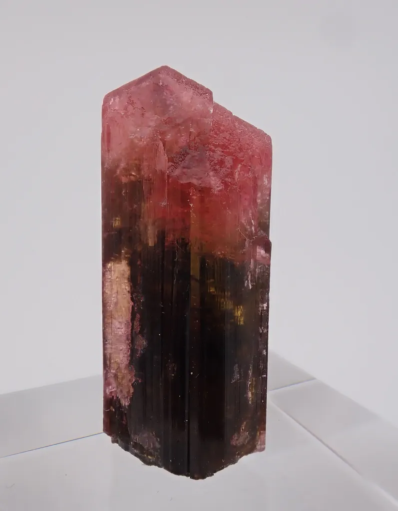 Elbaite variety Rubellite image