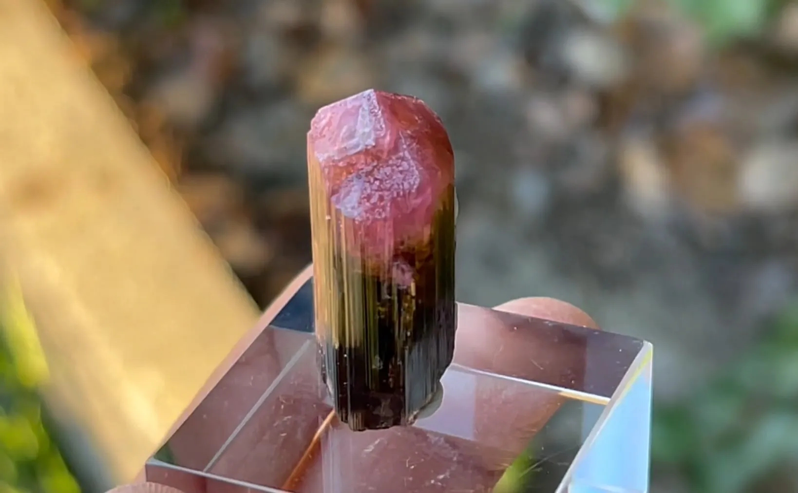 Elbaite variety Rubellite - image 3