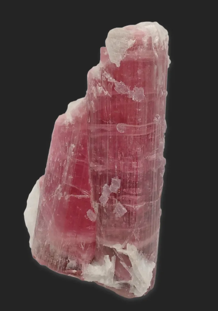 Elbaite variety Rubellite with Lepidolite and Clevelandite image