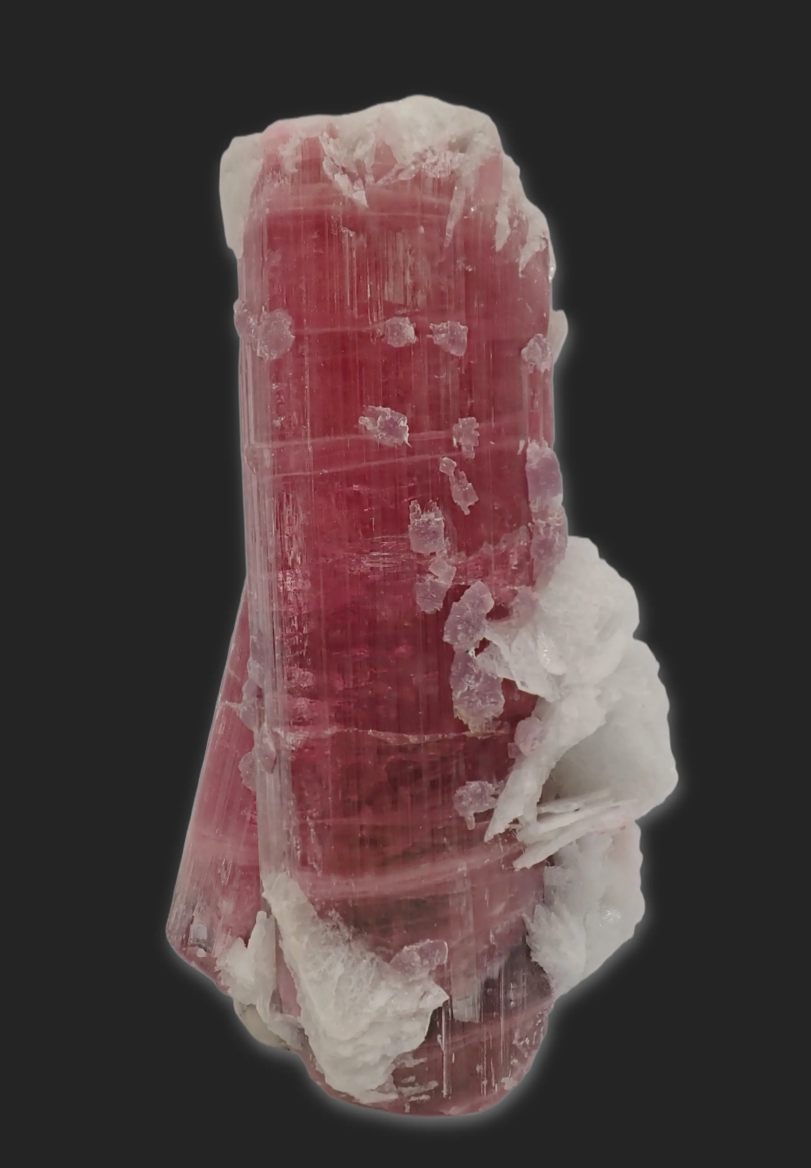 Elbaite variety Rubellite with Lepidolite and Clevelandite - image 4
