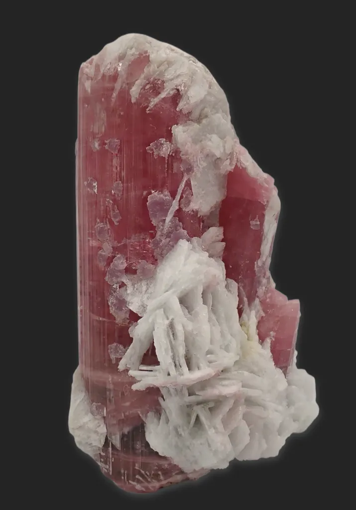 Elbaite variety Rubellite with Lepidolite and Clevelandite - image 6