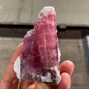 Elbaite variety Rubellite with Lepidolite and Clevelandite - image 7