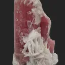 Elbaite variety Rubellite with Lepidolite and Clevelandite - image 6