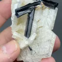 Elbaite with Albite - image 2