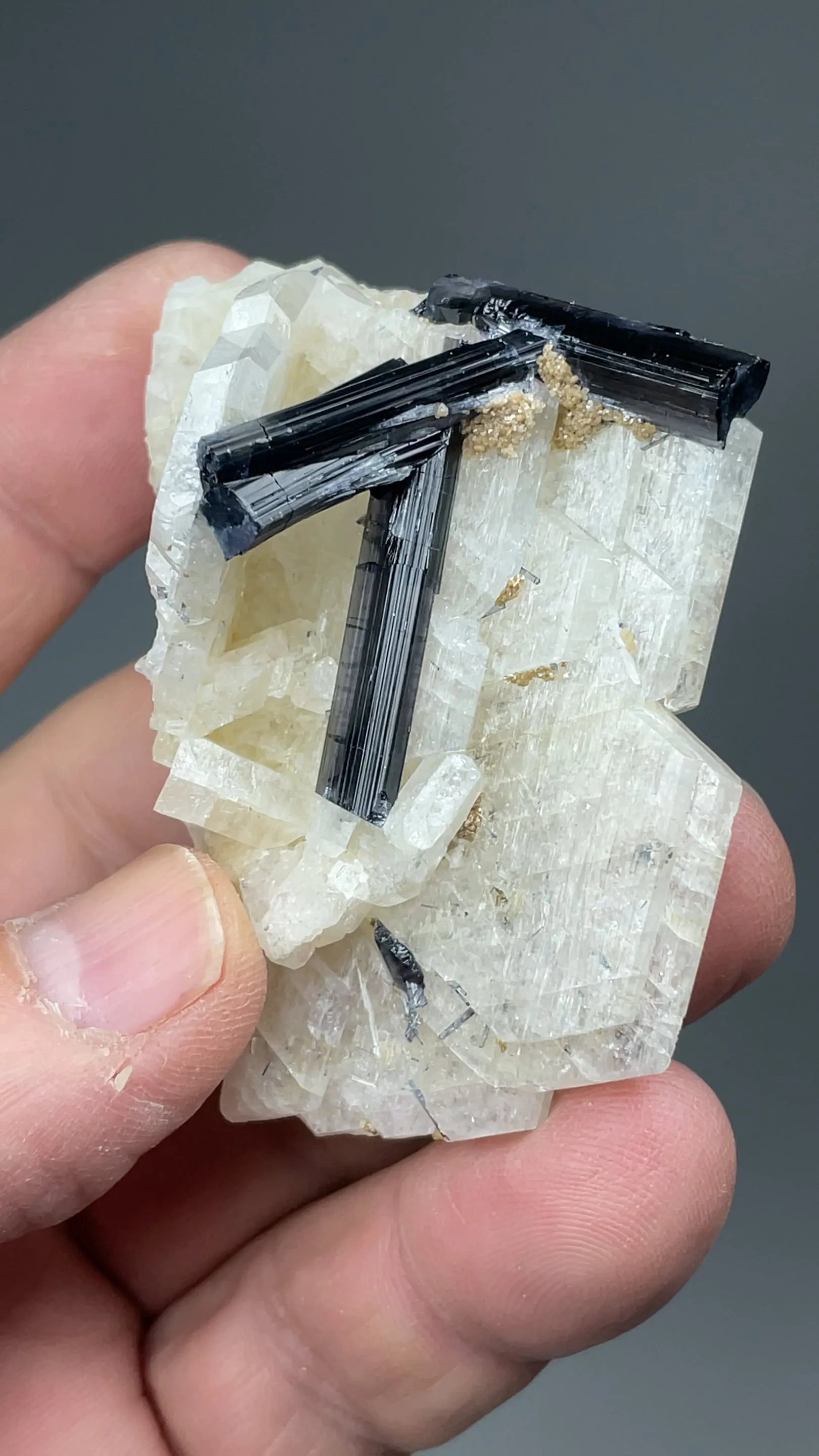 Elbaite with Albite - image 2