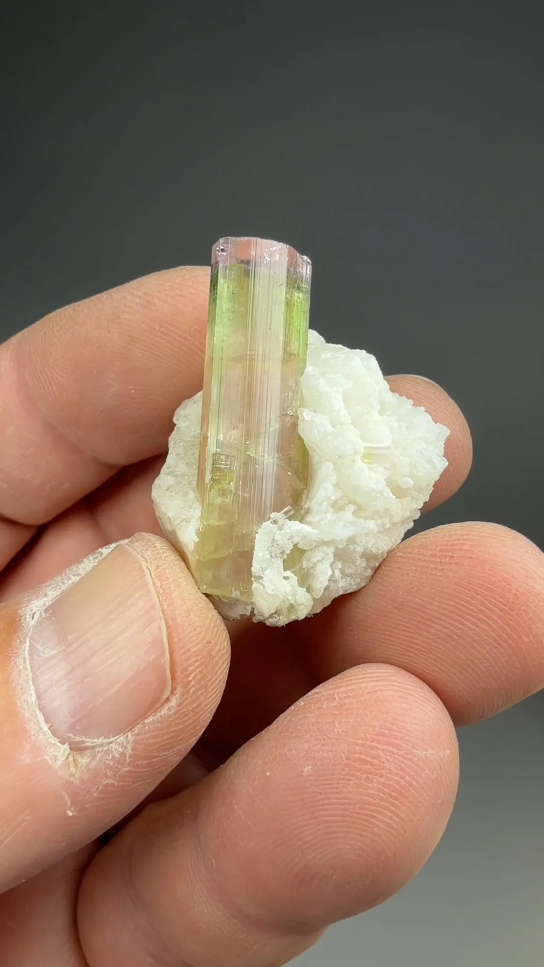 Elbaite with Albite - image 2