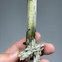 Elbaite with Albite - image 2