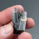 Elbaite with Albite - image 2