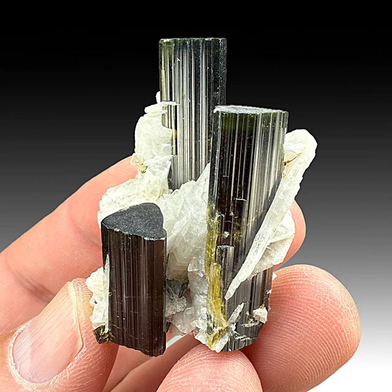 Elbaite with Albite (488) - image 1