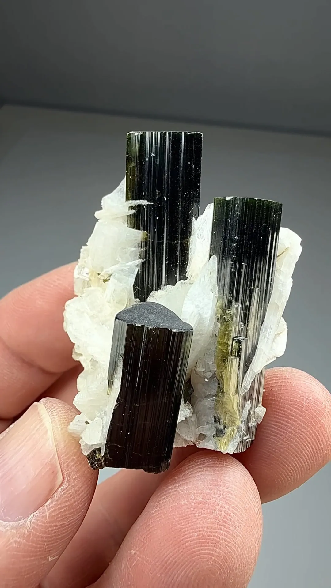 Elbaite with Albite (488) - image 2