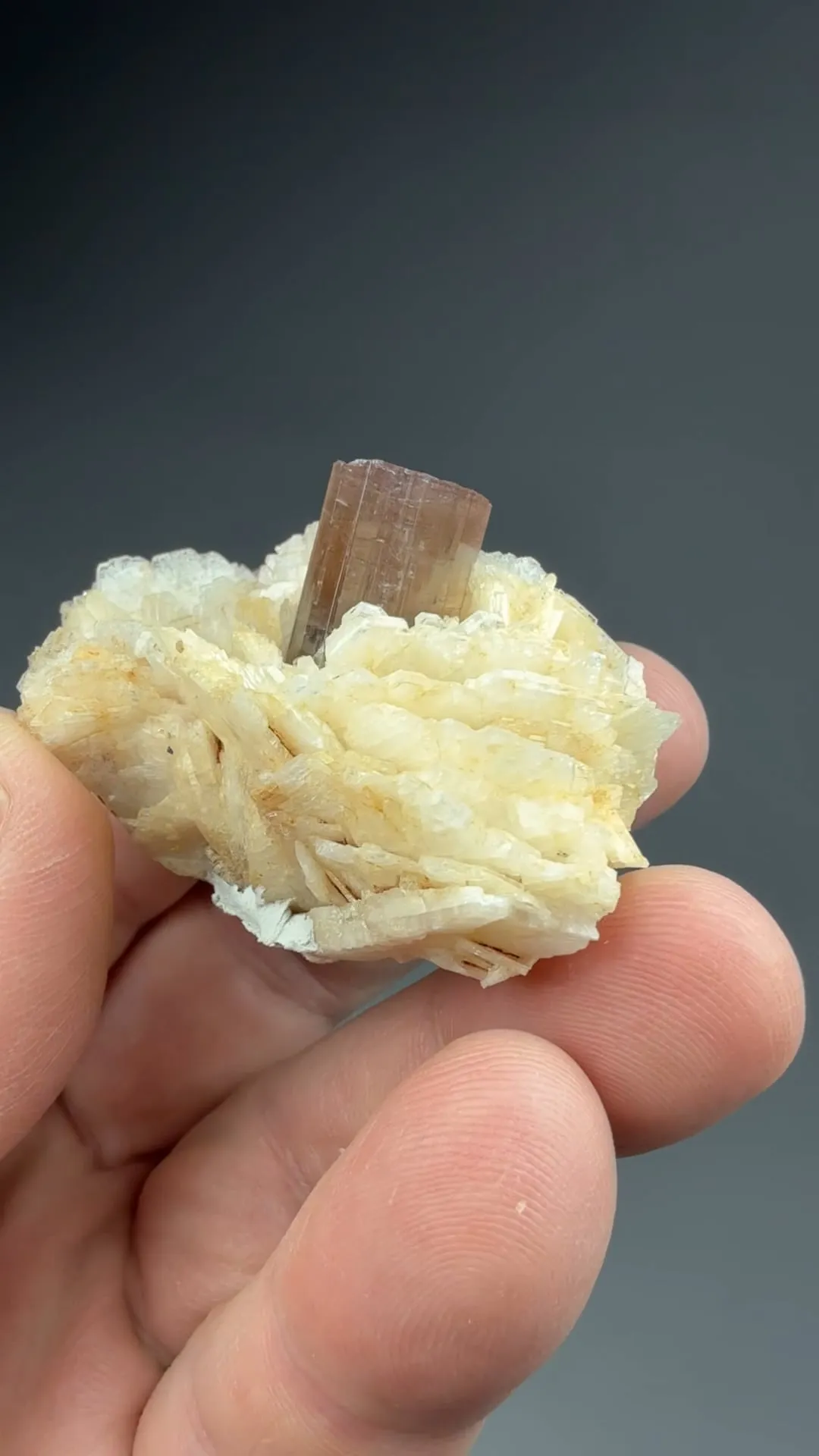 Elbaite with Albite - image 2