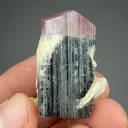 Elbaite with Albite - image 2