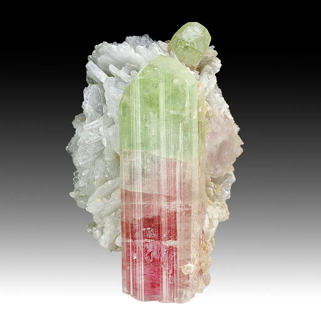 Elbaite with Albite image