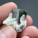 Elbaite with Albite - image 2